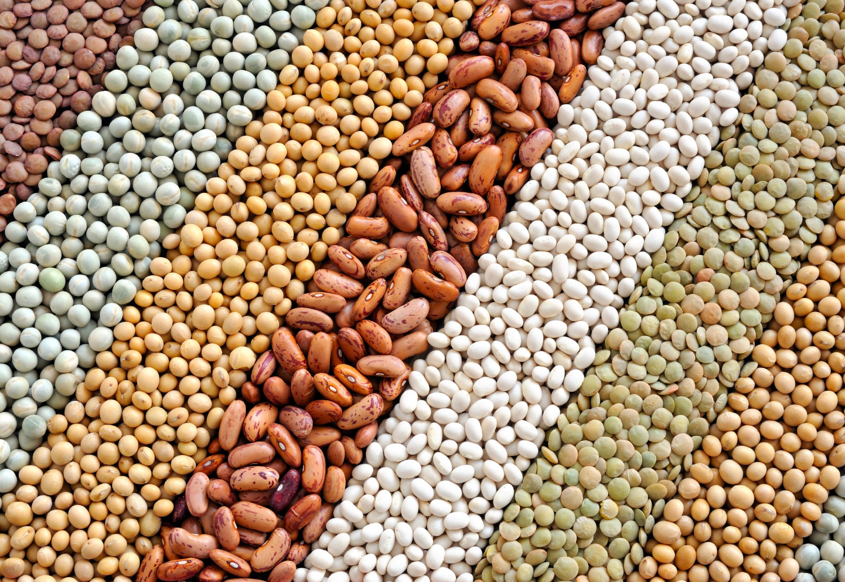 Graded Pulses, Lentils & Legumes Matrix